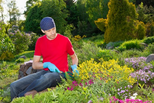 A person wearing a blue patterned cap, red T-shirt, and blue gardening gloves is crouched down in a vibrant garden, tending to flowering plants and shrub borders. The garden features a well-maintained lawn with dense, lush green grass in the foreground, bordered by various flowering plants with yellow, purple, and pink blossoms, all of which are thriving and in full bloom. Behind the gardener, there are neatly arranged flower beds, some with low-growing plants, and others with taller, bushy shrubs. The backdrop includes mature trees and coniferous evergreens, providing a natural enclosure and privacy, with sunlight filtering through the foliage, suggesting a mild, sunny day. The garden appears to be part of a landscaped outdoor space, possibly in Clapham, designed for aesthetic appeal and outdoor enjoyment, demonstrating careful maintenance and landscaping care by Gardening Services Clapham.