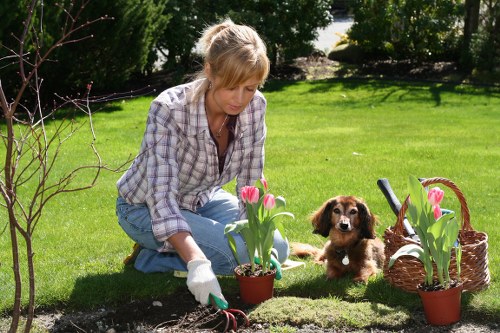 Team member inspecting planting during an investigation
