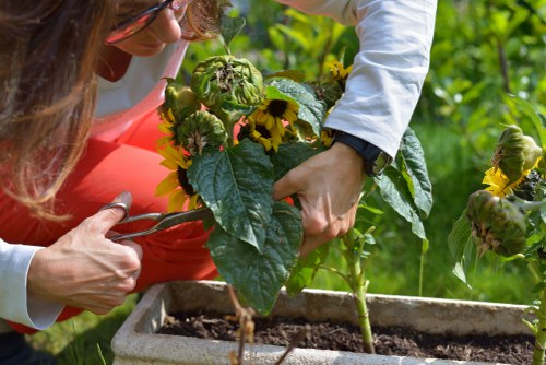 Operative wearing PPE while using gardening equipment