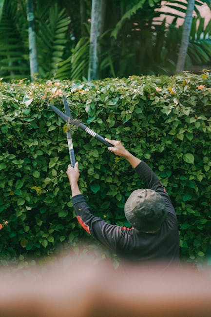 A detailed view of a well-maintained garden showcasing a lush green lawn with freshly trimmed grass, bordered by garden beds filled with a variety of vibrant flowering plants and shrubs. The garden in